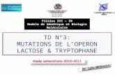 TD N°3: MUTATIONS DE L’OPERON LACTOSE & TRYPTOPHANE Faculté des Sciences Rabat Faculté des Sciences Rabat Laboratoire de Microbiologie et Biologie Moléculaire.