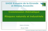 Commission thématique risques naturels et industriels SAGE Estuaire de la Gironde et Milieux Associés Commission thématique Risques naturels et industriels.