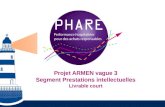 Projet ARMEN vague 3 Segment Prestations intellectuelles Livrable court.