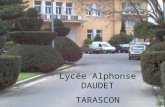 Lycée Alphonse DAUDET TARASCON. 11 classes de SECONDES 10 classes de PREMIERES 11 classes de TERMINALES soit environ 1000 élèves Le LYCEE C ’est.