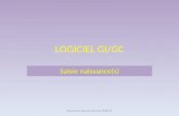 LOGICIEL GI/GC Saisie naissance(s) Document créé par Laurence BURLAT.