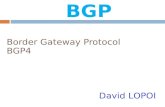 Border Gateway Protocol BGP4 David LOPOI BGP. David LOPOI  Une interface réseau  Une adresse IP Besoins pour communiquer sur un réseau IP Adressage.