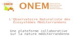 L'Observatoire Naturaliste des Écosystèmes Méditerranéens Une plateforme collaborative sur la nature méditerranéenne.