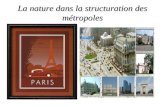 La nature dans la structuration des métropoles. Carte des jardins et parcs de Paris.