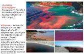 Question Scientifique: Pourquoi en floride à la tomber de la nuit la plaqe devient t-elle rouge ? Marée Rouge Floride Réponse: La Marée Rouge sur la Côte-Ouest.