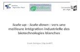 Scale-up - Scale-down : vers une meilleure intégration industrielle des biotechnologies blanches Frank Delvigne (Ulg-GxABT) Agro-Bio Tech.