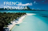 FRENCH POLYNESIA Sarah Rowen. 118 isles et atolls Il est près de l'Australie Divisé en cinq region: Austral, Gambier, Marquesas, Society et Tuamotu Austral.