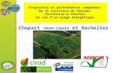 Propriétés et performances comparées de 16 cultivars de Poacées (Saccharum sp. et Erianthus) en vue d’un usage énergétique. Chopart Jean-Louis et Bachelier.