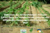 Diffusion du Jardin Potager Africain (JPA) dans les systèmes de cultures des différentes zones agro-écologiquesdu Mali IER Sekou Sala Guindo Abba sekou.