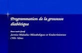 Programmation de la grossesse diabétique Anne marie Guedj Service Maladies Métaboliques et Endocriniennes CHU- Nîmes.