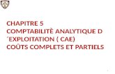 CHAPITRE 5 COMPTABILITÈ ANALYTIQUE D´EXPLOITATION ( CAE) COÛTS COMPLETS ET PARTIELS 1.