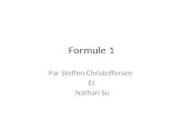Formule 1 Par Steffen Christoffersen Et Nathan Su.