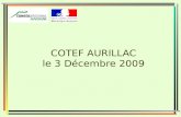 COTEF AURILLAC le 3 Décembre 2009. Introduction Etat.