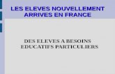 LES ELEVES NOUVELLEMENT ARRIVES EN FRANCE DES ELEVES A BESOINS EDUCATIFS PARTICULIERS.