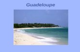 Guadeloupe. L’Ile aux Belles Eaux Carte de l’Ile.