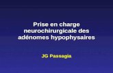 Prise en charge neurochirurgicale des adénomes hypophysaires JG Passagia.