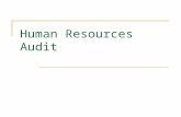 Human Resources Audit