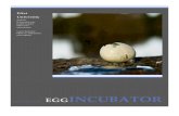 Egg Incubator - Project Report