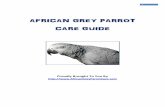 African Grey Care Guide