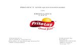14254508 Project Report on Lays Potato Chips