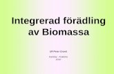 CHP - Integrerad förädling av Biomassa SE Ulf-Peter Granö 2010