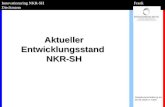 Aktueller Entwicklungsstand NKR-SH Doppikveranstaltung am 20.09.2005 in NMS Innovationsring NKR-SH Frank Dieckmann.