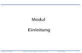 Copyright: Dr. Klaus Röber 1 Workshop: IT-Projektmanagement - Version 3.0 - 01/2004Modul: Einleitung Modul Einleitung.