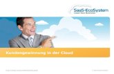 Kundengewinnung in der Cloud Frank Türling| Vorstand Öffentlichkeitsarbeit © 2010 SaaS-EcoSystem.