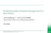Professionelles Projektmanagement in der Praxis, © 2006 Dr. Harald Wehnes Universität Würzburg, FB Informatik, Prof. Dr. P.Tran-Gia 1 Professionelles Projektmanagement.