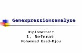 Genexpressionsanalyse Diplomarbeit 1. Referat Mohammad Esad-Djou.