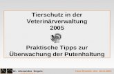 Tierschutz in der Veterinärverwaltung 2005 Praktische Tipps zur Überwachung der Putenhaltung Haus Riswick, den 16.11.2005.