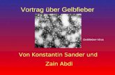 Vortrag über Gelbfieber Von Konstantin Sander und Zain Abdi Gelbfieber-Virus.