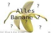 Alles Banane ? ? ? ? ? ? ? ? Daniel Oliva & Alex Krieger 8D.