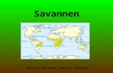 Savannen Florian Rottmair, Daniel Schuster. Die Savanne größter vegetationsbestimmter Landschaftsgürtel der Erde ¼ der festen Erdoberfläche bedeckt von.