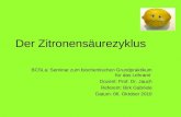 Der Zitronensäurezyklus BCSLa: Seminar zum biochemischen Grundpraktikum für das Lehramt Dozent: Prof. Dr. Jauch Referent: Birk Gabriele Datum: 06. Oktober.