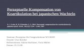 Perzeptuelle Kompensation von Koartikulation bei japanischen Wachteln A. J. Lotto, K. R. Kluender, L. L. Holt. Perceptual compensation for coarticulation.