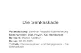Die Sehkaskade Veranstaltung: Seminar: Visuelle Wahrnehmung Seminarleiter: Dipl. Psych. Kai Hamburger Referent: Morten Kaletsch Datum: 03.05.2005 THEMA:
