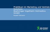 Rudolf Thilmann Praktikum im Marketing und Vertrieb Nutztiere Boehringer Ingelheim Vetmedica GmbH.