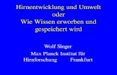 Wolf Singer Max Planck Institut für Hirnforschung Frankfurt Hirnentwicklung und Umwelt oder Wie Wissen erworben und gespeichert wird.