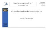 Medienengineering / Netzwerke Lehrstuhl für Netzwerktechno- logien und multimediale Teledienste Universität Potsdam Institut für Informatik Optische Weitverkehrsnetzwerke.