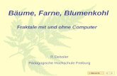 < Übersicht Bäume, Farne, Blumenkohl Fraktale mit und ohne Computer R.Deissler Pädagogische Hochschule Freiburg.