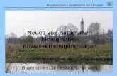 Bayerisches Landesamt für Umwelt Neues von naturnahen biologischen Abwasserreinigungslagen Erich Englmann Bayerisches Landesamt für Umwelt.