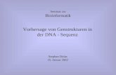 Vorhersage von Genstrukturen in der DNA - Sequenz Seminar zur Bioinformatik Stephan Didas 25. Januar 2002.
