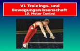 VL Trainings- und Bewegungswissenschaft 10. Motor Control.