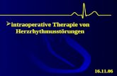 intraoperative Therapie von Herzrhythmusstörungen 16.11.06.