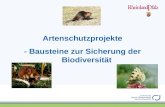Artenschutzprojekte - Bausteine zur Sicherung der Biodiversität.