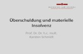 Überschuldung und materielle Insolvenz Prof. Dr. Dr. h.c. mult. Karsten Schmidt.