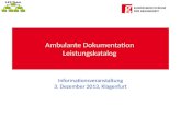 LKF-Team Ambulante Dokumentation Leistungskatalog Informationsveranstaltung 3. Dezember 2013, Klagenfurt.