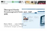 Marco BürliLars Erdmann Leiter E-Gov-ProjektePartner Informatik AargauQ_PERIOR Übergreifende Prozessplattform mit SAP BPM.