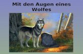 Mit den Augen eines Wolfes Copyright by L.Schober 2008.